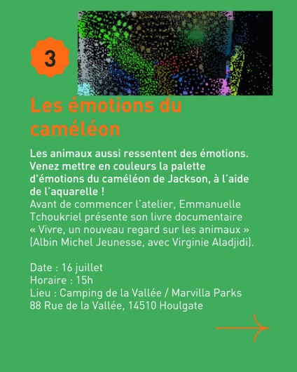 événement au camping 3