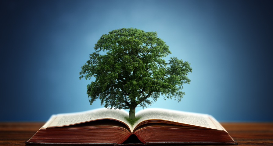 Arbre dans un livre ouvert