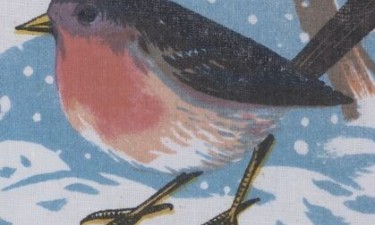 Rouge gorge dans la neige