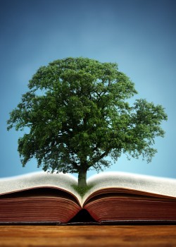 Arbre dans un livre ouvert