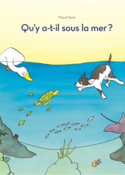 Qu'y a-t-il sous la mer ?