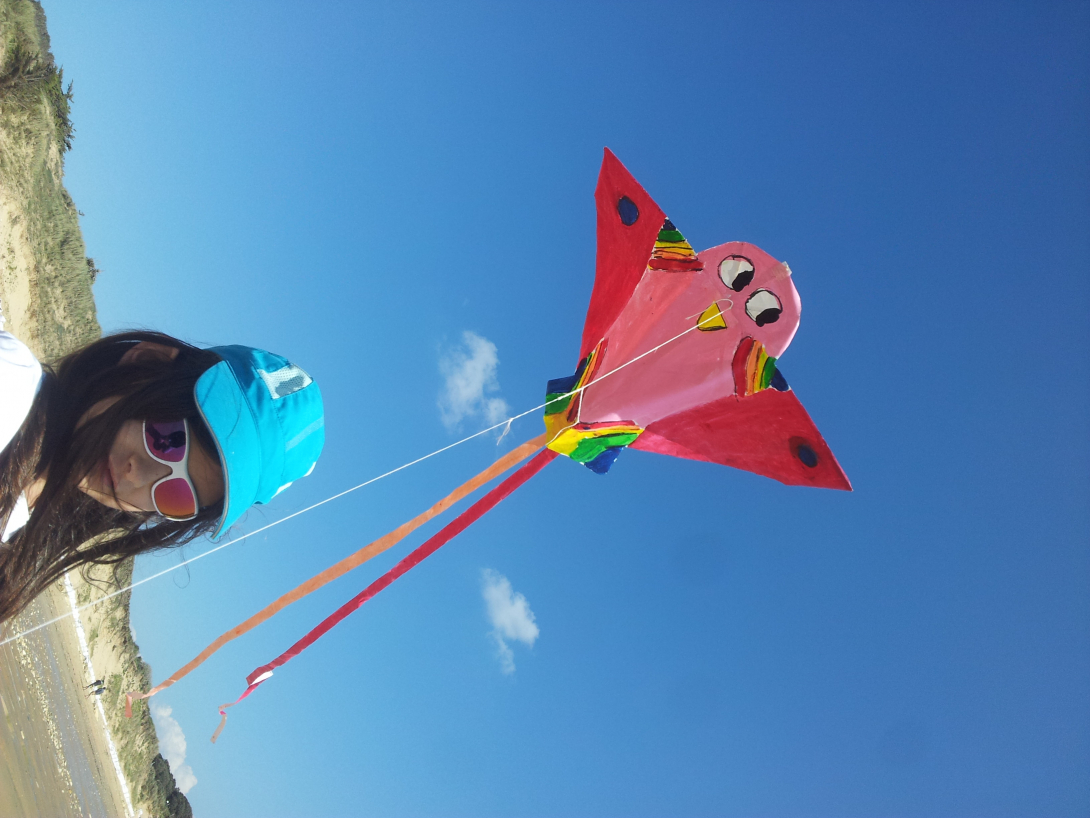 Cerf-volant HQ Shade Sport 2 Lignes - Vent Léger - Multicolore 215 Cm - Débutants Et Trick